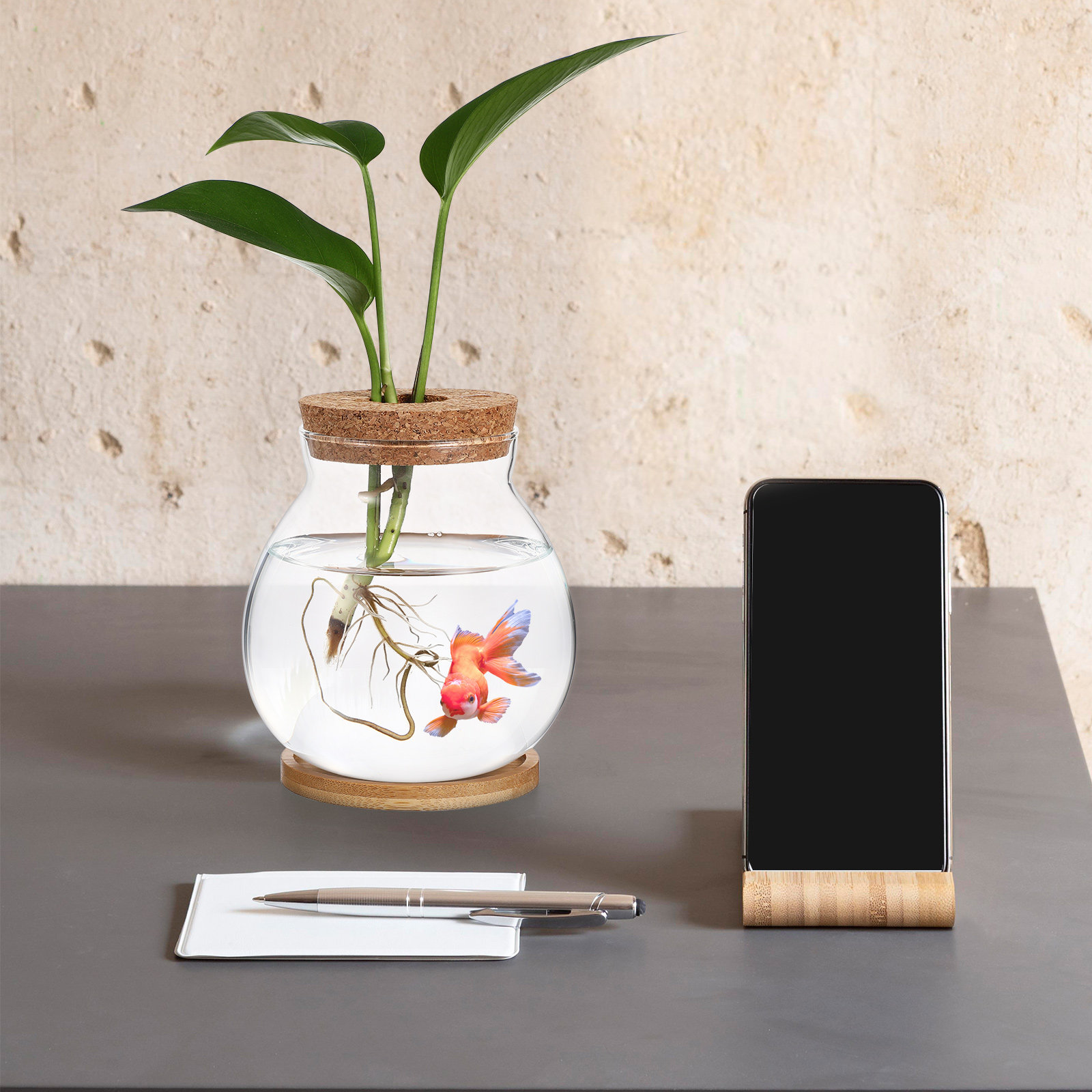 Planted Aquarium Bowl - Glass Betta Fish Bowl Desktop Fish
