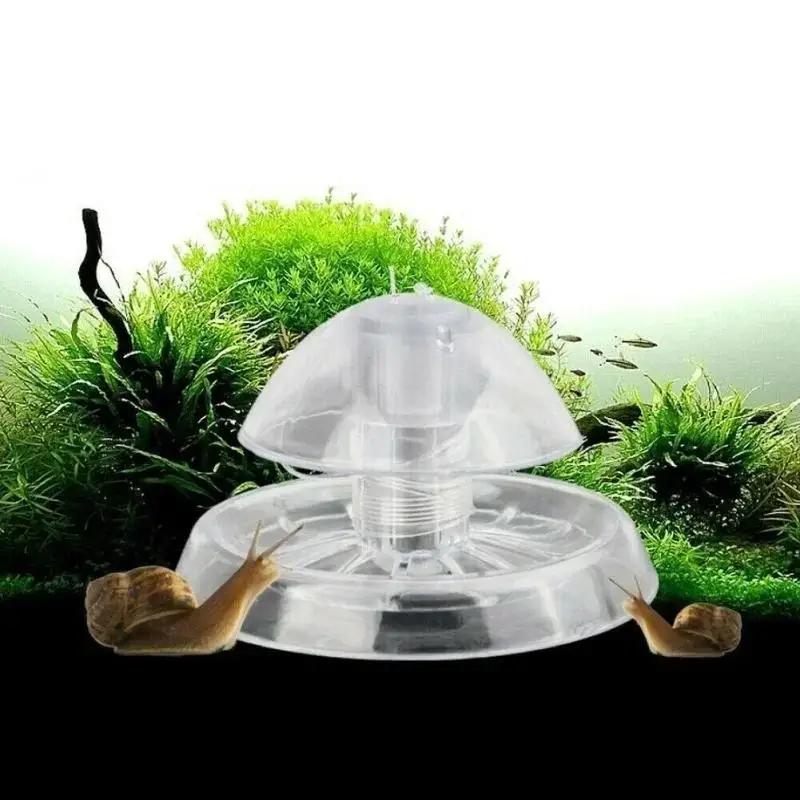 Planted Aquarium Supplies - 2026 New 6/8CM Clear Plastic Snail