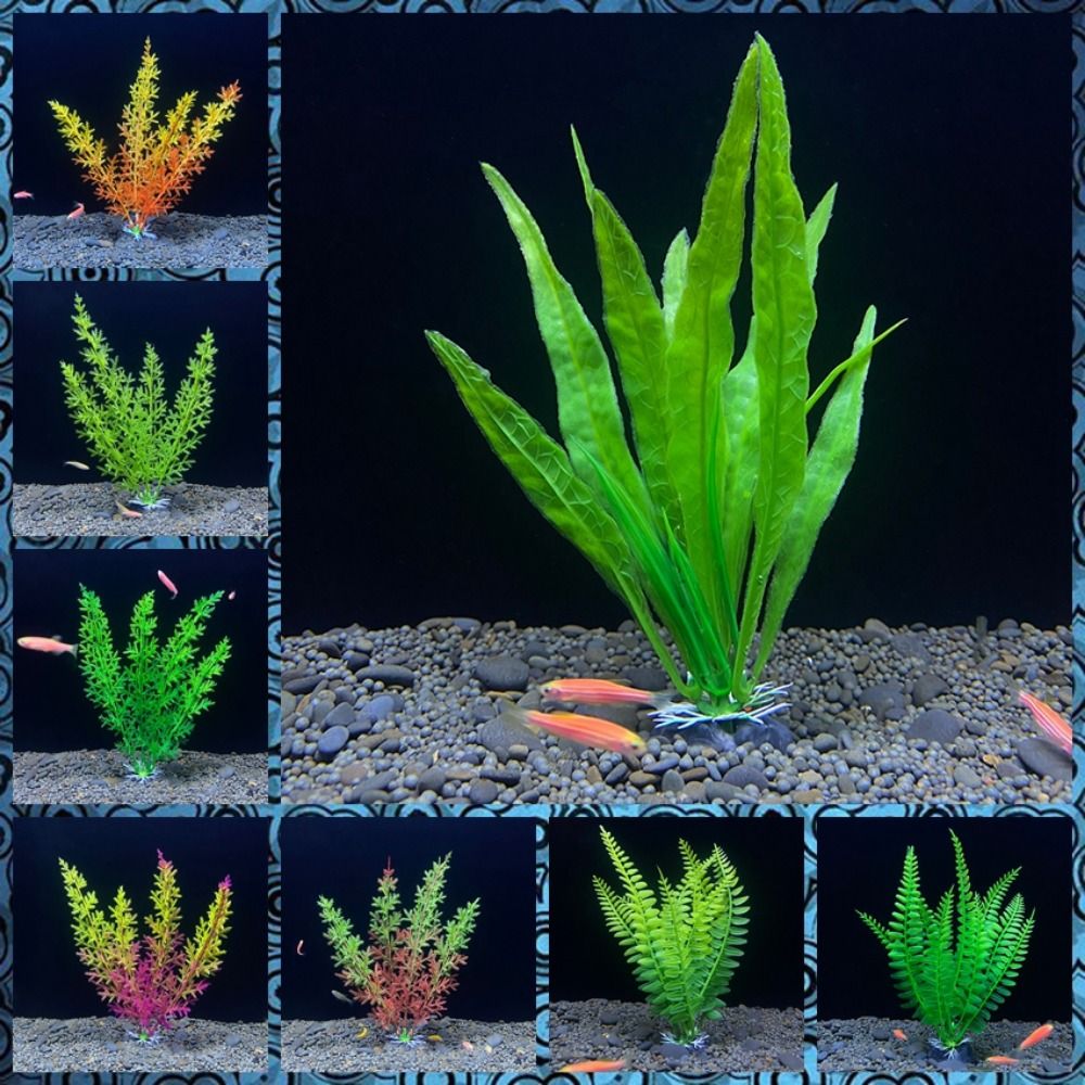 Fish Tank Ornament Plant Aquar - Planted Aquarium Bowl ulasan dan harga