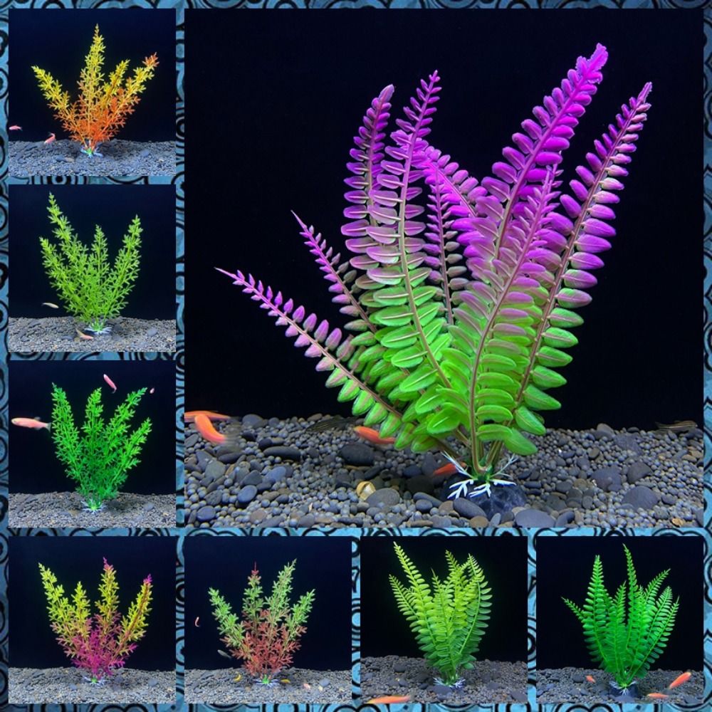 Fish Tank Ornament Plant Aquar - Planted Aquarium Bowl ulasan dan harga