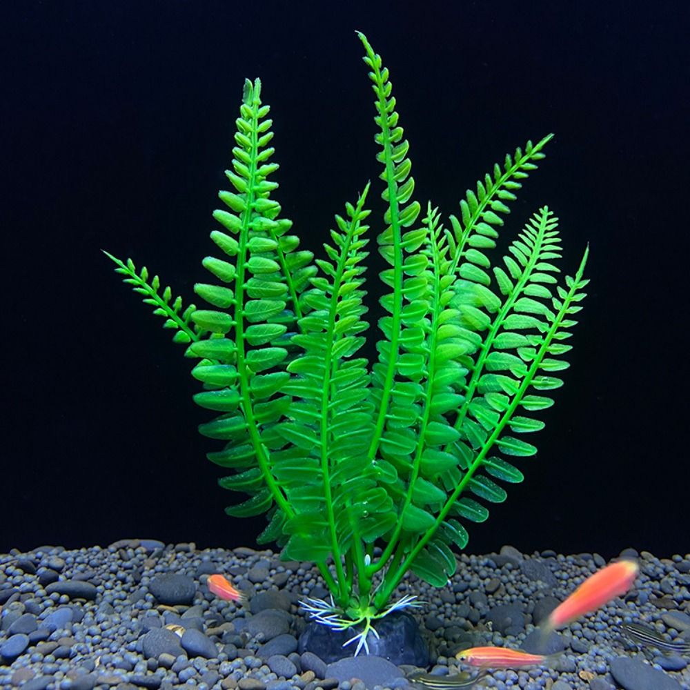 Fish Tank Ornament Plant Aquar - Planted Aquarium Bowl ulasan dan harga