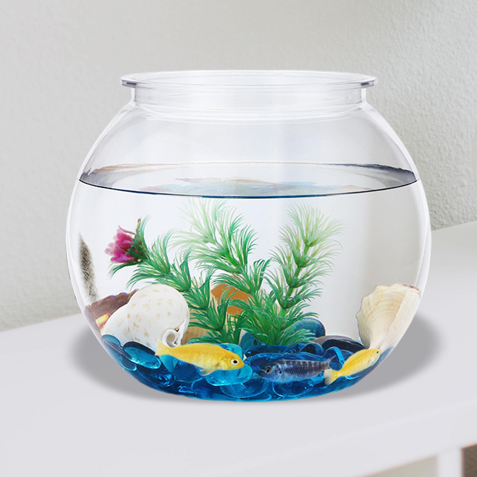 Transparent Small Fish Tank De - Planted Aquarium Bowl ulasan dan harga