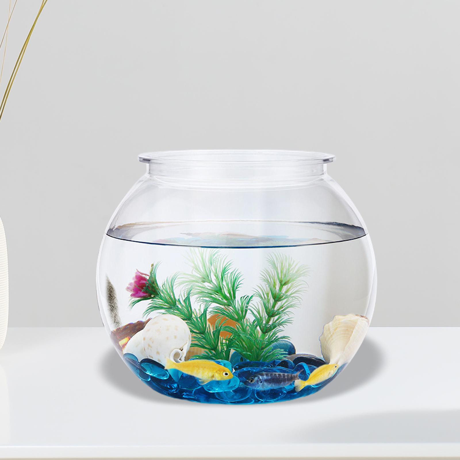 Transparent Small Fish Tank De - Planted Aquarium Bowl ulasan dan harga
