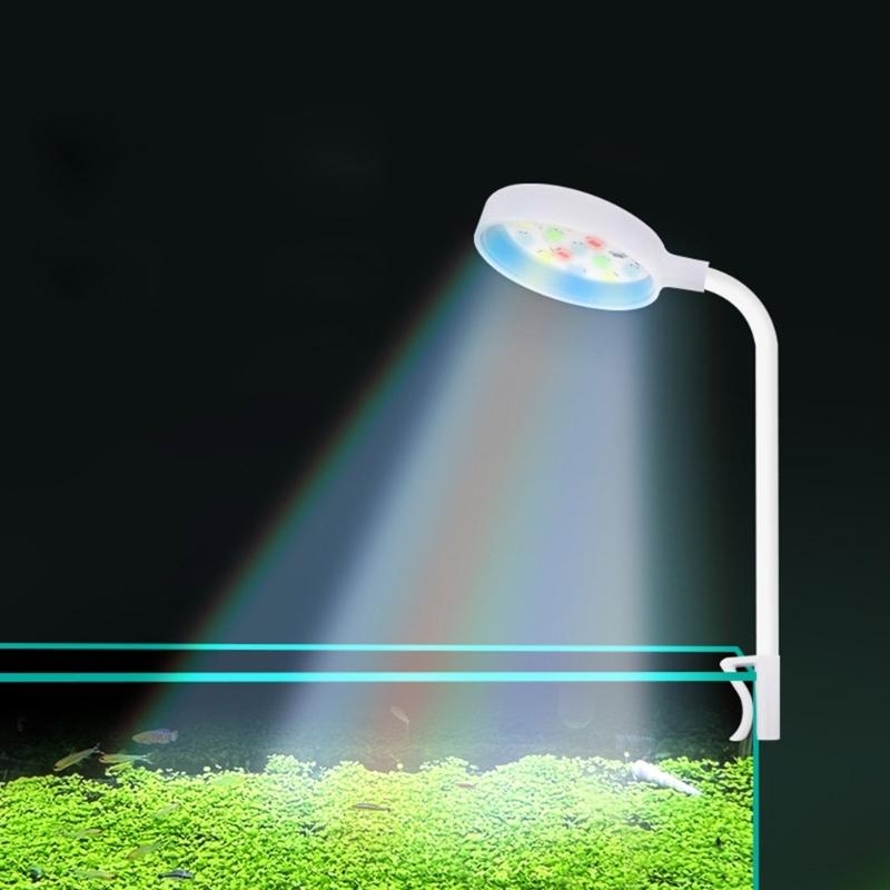 Small Aquarium Fish Bowl LED L - Planted Aquarium Bowl ulasan dan harga