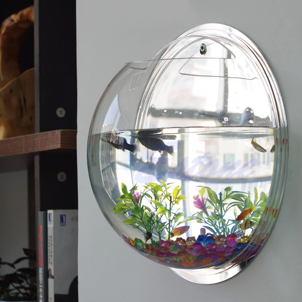 Wall Mounted Acrylic Fish Bowl - Planted Aquarium Bowl ulasan dan harga