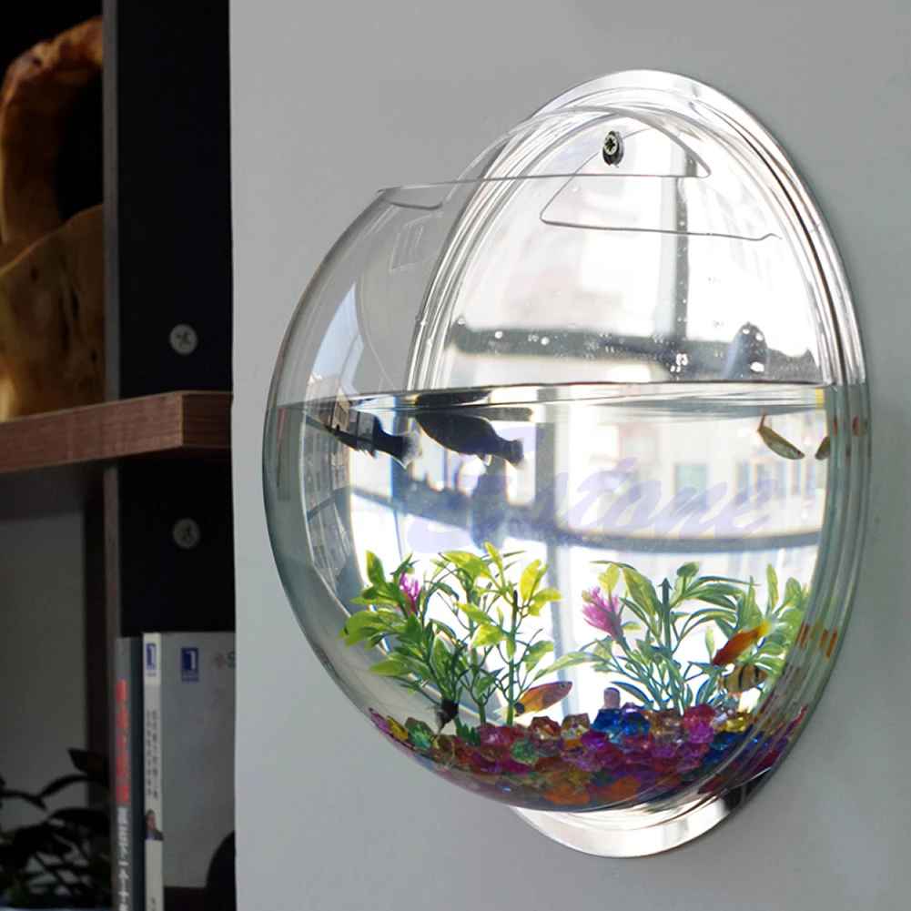 Wall Mounted Acrylic Fish Bowl - Planted Aquarium Bowl ulasan dan harga