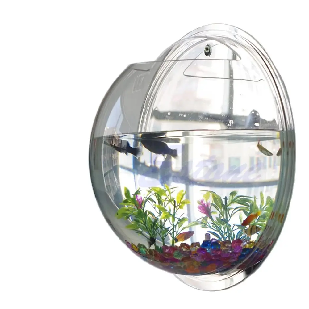 Wall Mounted Acrylic Fish Bowl - Planted Aquarium Bowl ulasan dan harga