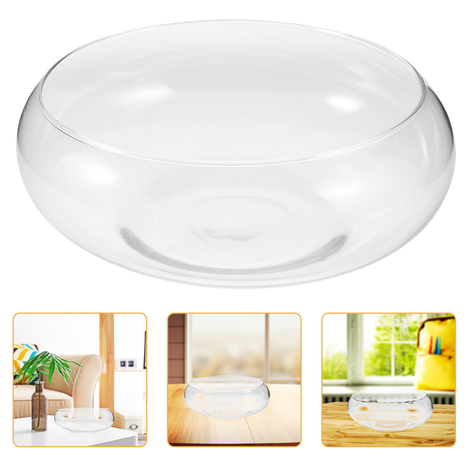 Glass Hydroponic Flower Vase B - Planted Aquarium Bowl ulasan dan harga