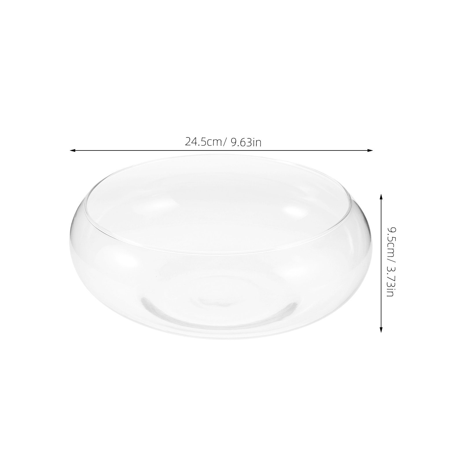 Glass Hydroponic Flower Vase B - Planted Aquarium Bowl ulasan dan harga