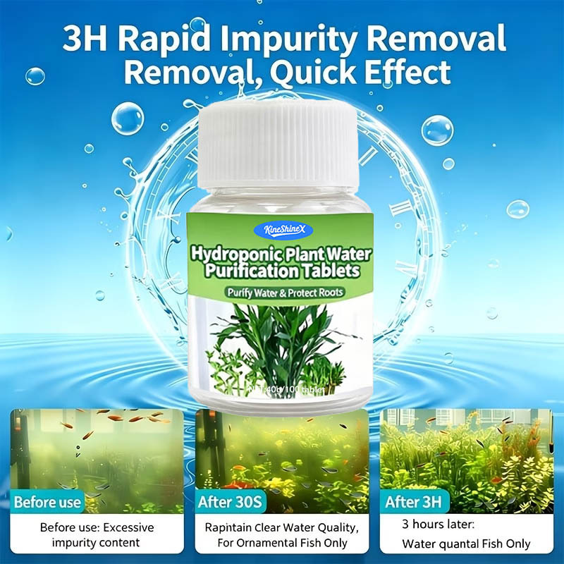 Hydroponic Water Purification  - Planted Aquarium Supplies ulasan dan harga
