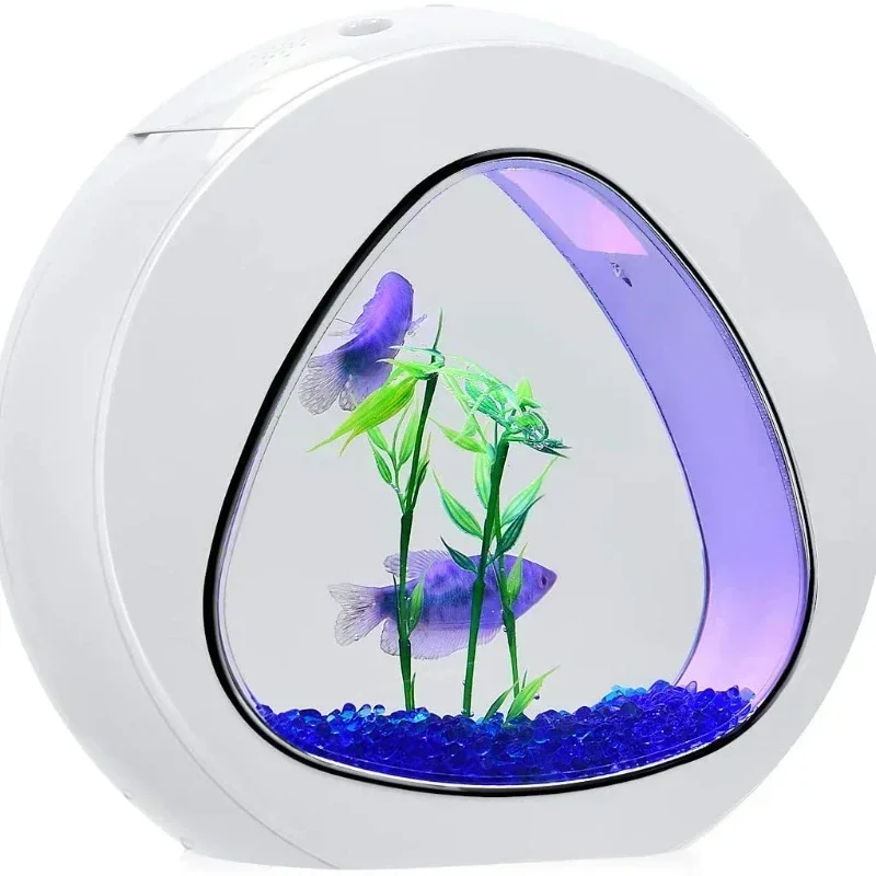 Betta Fish Tank, Fish Aquarium - Planted Aquarium Bowl ulasan dan harga
