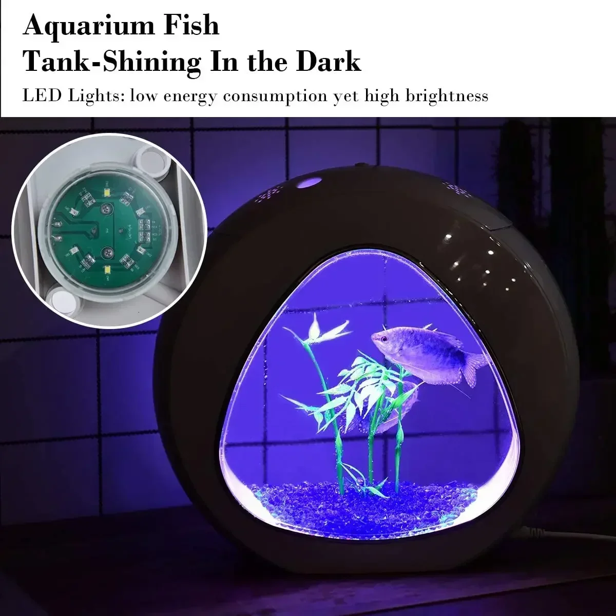 Betta Fish Tank, Fish Aquarium - Planted Aquarium Bowl ulasan dan harga