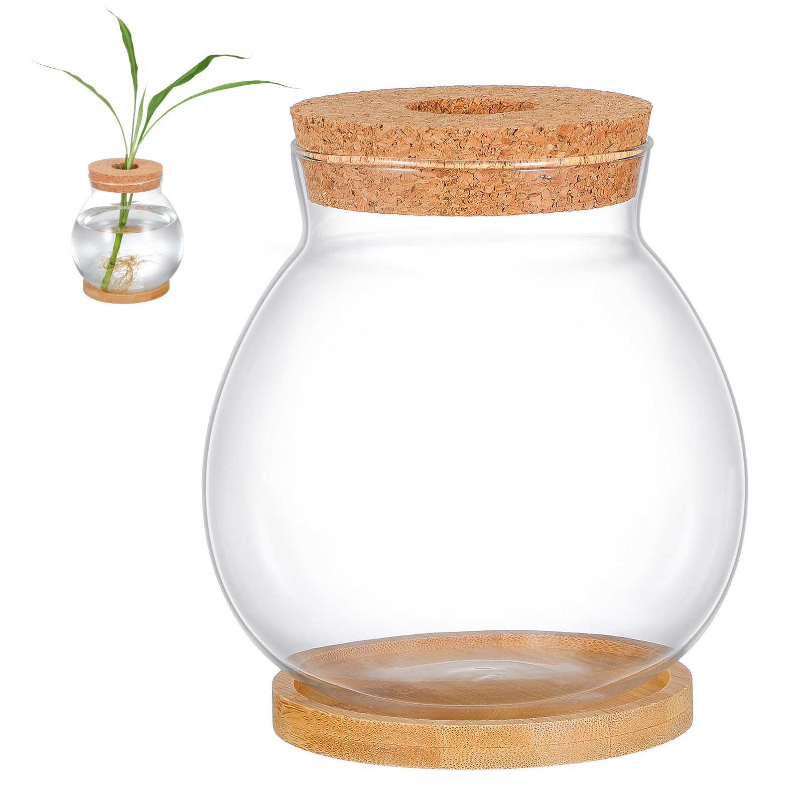Glass Betta Fish Bowl Desktop  - Planted Aquarium Bowl ulasan dan harga