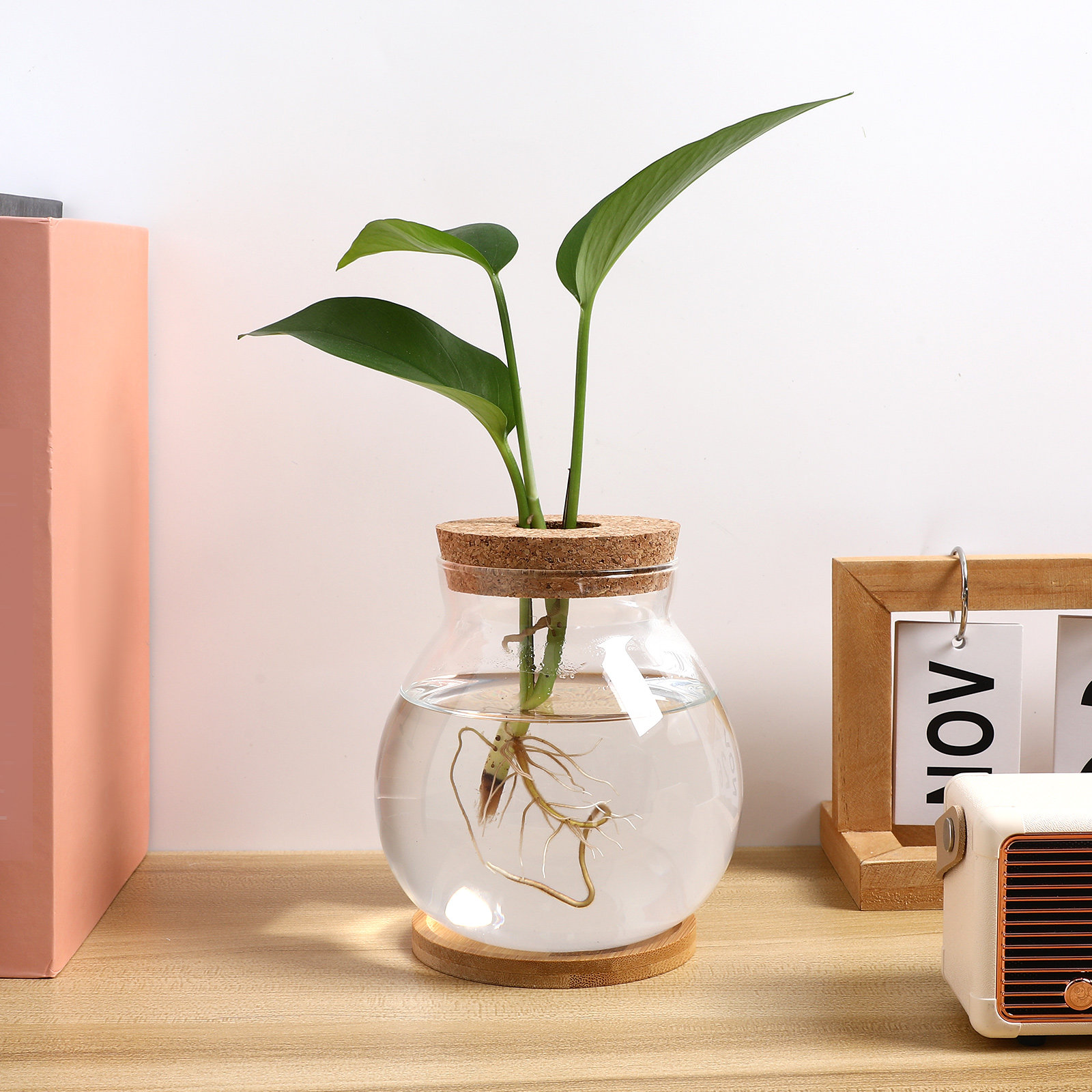 Glass Betta Fish Bowl Desktop  - Planted Aquarium Bowl ulasan dan harga