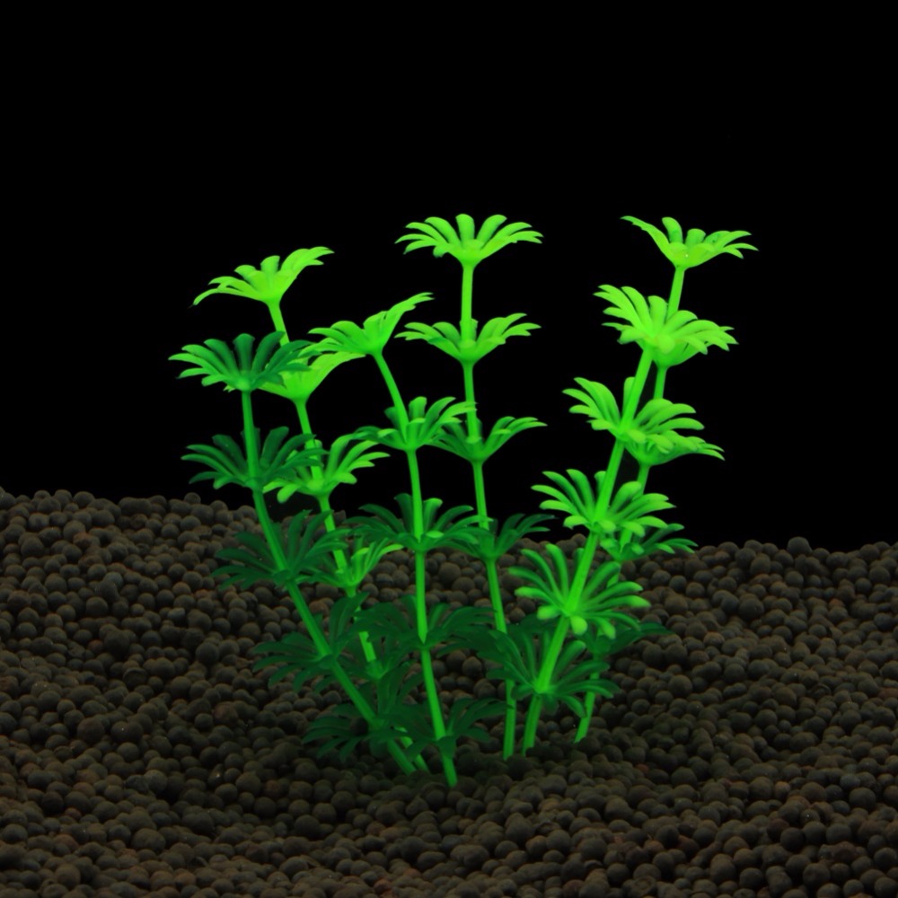 Fish Tank Ornament Plant Aquar - Planted Aquarium Bowl ulasan dan harga