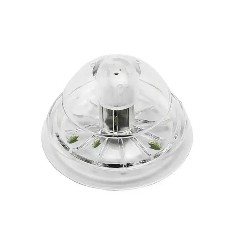 2026 New 6/8CM Clear Plastic S - Planted Aquarium Supplies ulasan dan harga