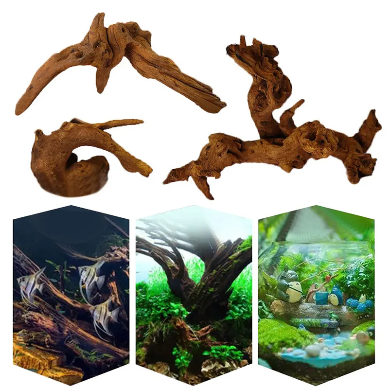 Hot Selling New Fish Tank Deco - Aquarium Planted Soil ulasan dan harga