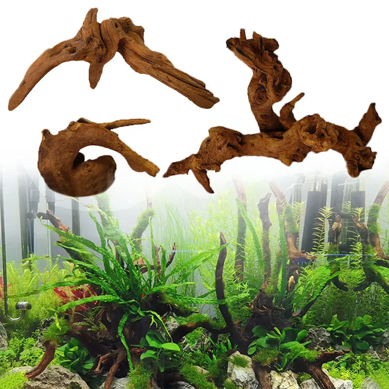 Hot Selling New Fish Tank Deco - Aquarium Planted Soil ulasan dan harga