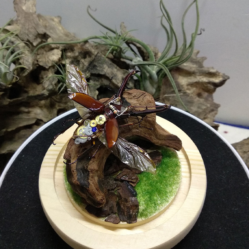 Hot Selling New Fish Tank Deco - Aquarium Planted Soil ulasan dan harga
