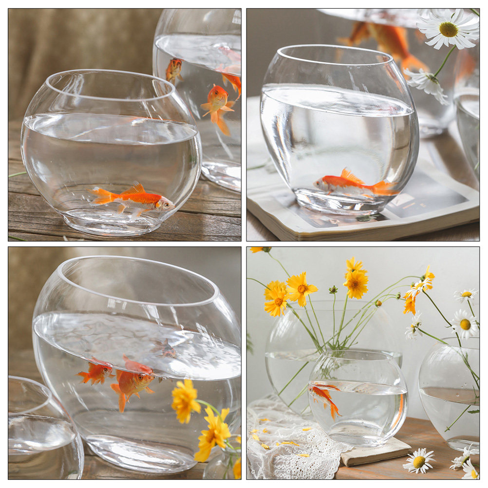 Elegant Glass Aquarium Tank Cr - Planted Aquarium Bowl ulasan dan harga