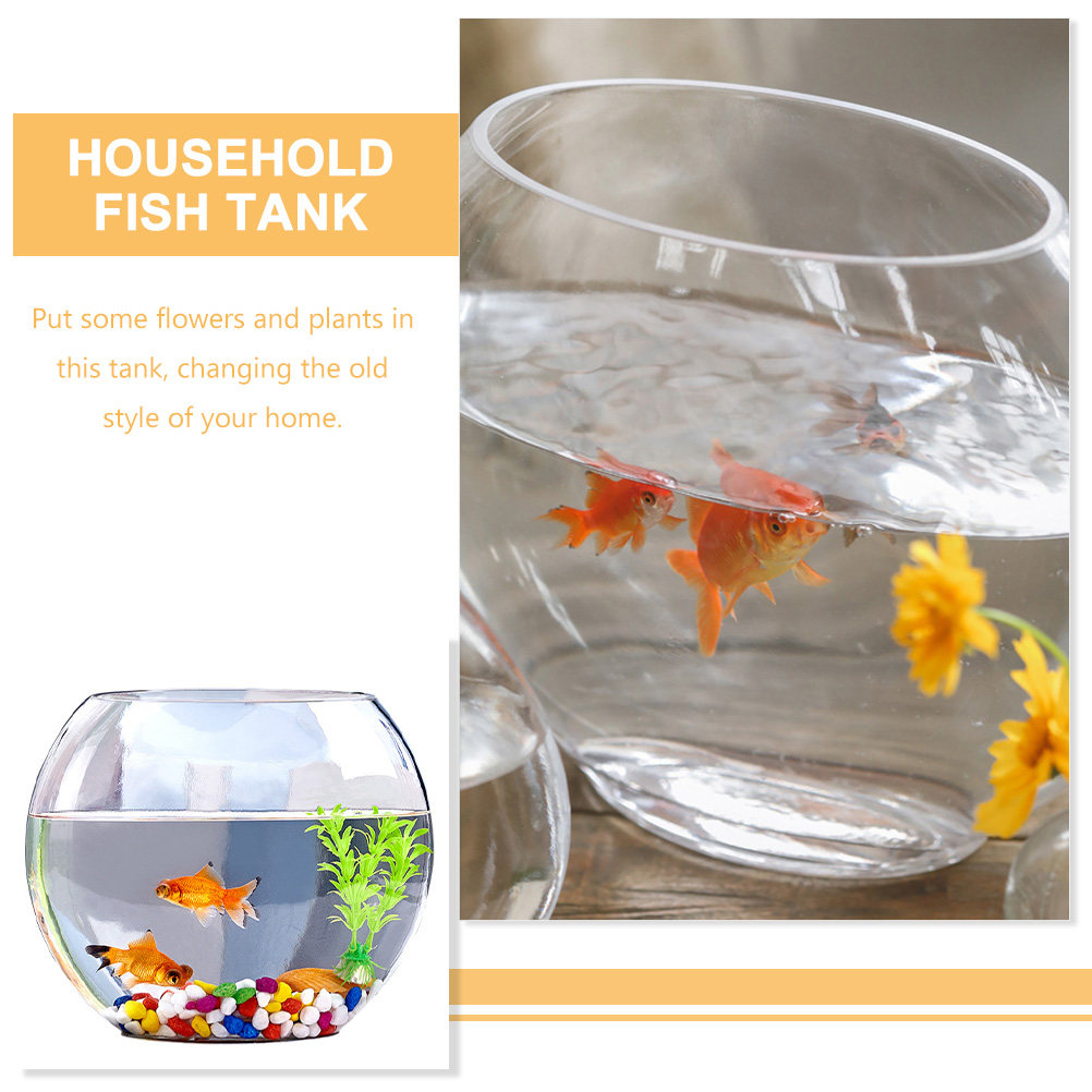 Elegant Glass Aquarium Tank Cr - Planted Aquarium Bowl ulasan dan harga
