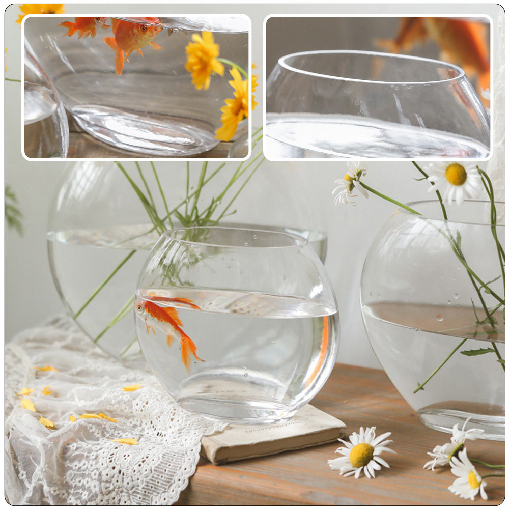 Elegant Glass Aquarium Tank Cr - Planted Aquarium Bowl ulasan dan harga