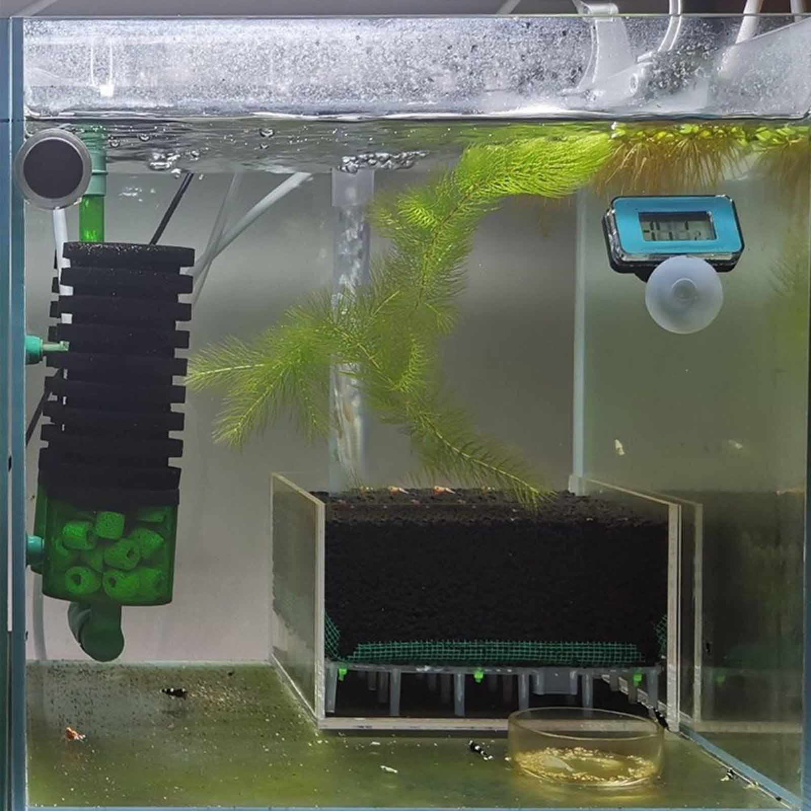 Transparent Acrylic Aquarium F - Planted Aquarium Undergravel Filter ulasan dan harga