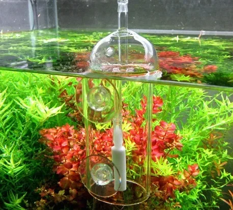 VIV Do Device Aquarium Cylinde - Planted Aquarium Supplies ulasan dan harga