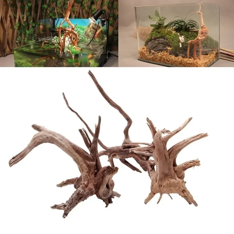 Natural Tree Trunk Driftwood A - Aquarium Planted Soil ulasan dan harga