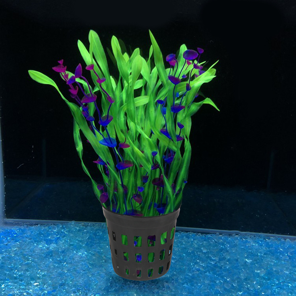 10Pcs Black Middle Size Aquari - Aquarium Planted Soil ulasan dan harga