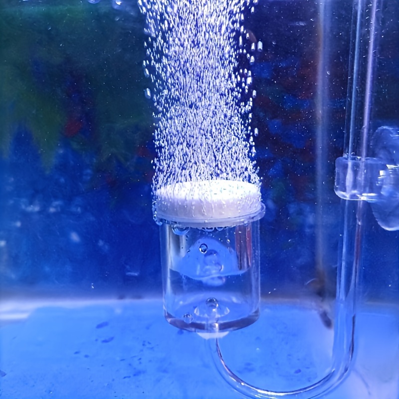 Aquarium Glass CO2 Atomizer Di - Planted Aquarium Supplies ulasan dan harga