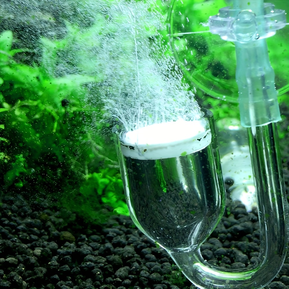 Aquarium Glass CO2 Atomizer Di - Planted Aquarium Supplies ulasan dan harga