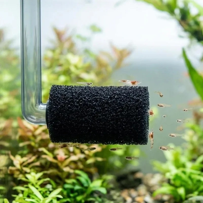 50/5x Pre Filter Sponge Aquari - Aquarium Planted Filter ulasan dan harga
