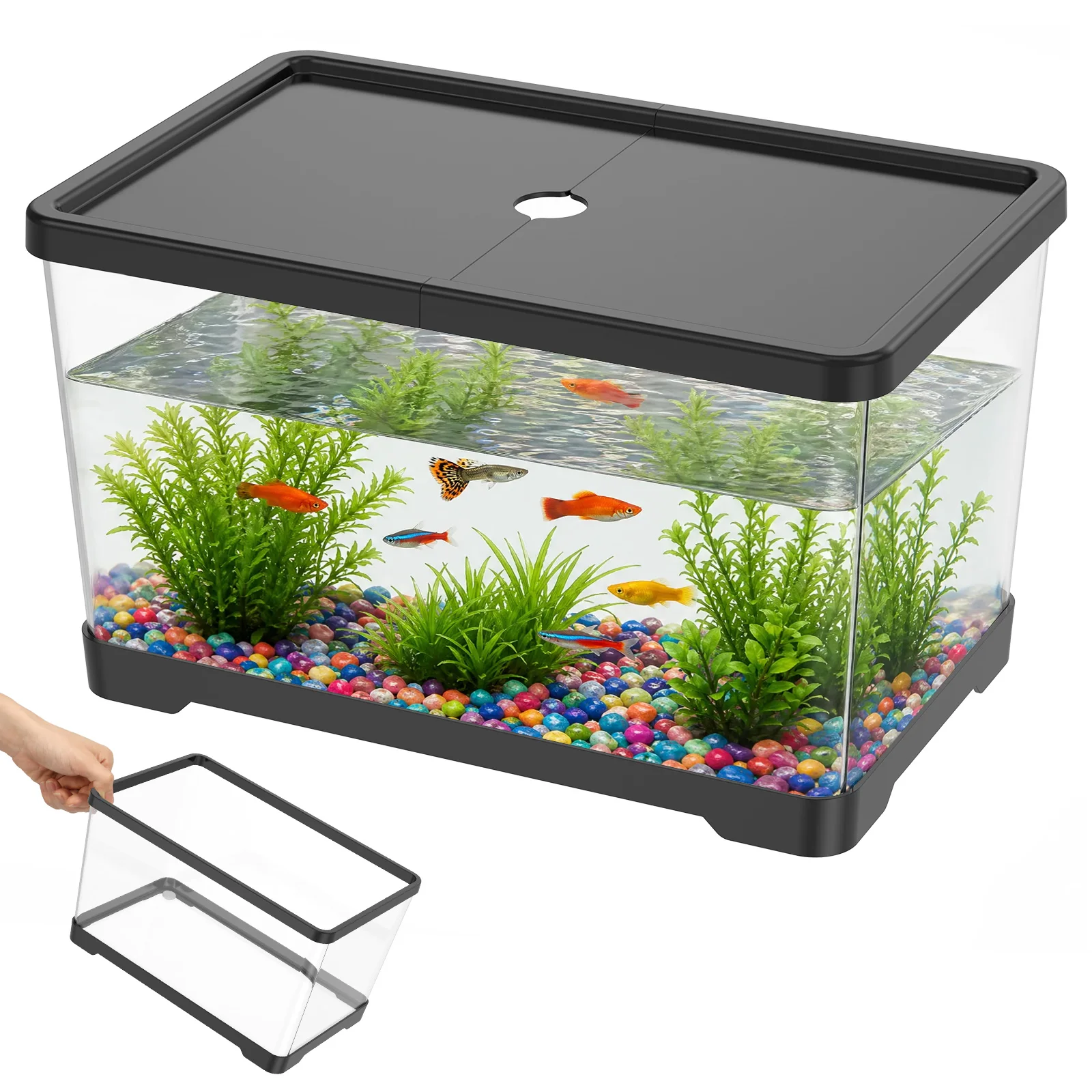 Transparent Fish Tank Aquarium - Planted Aquarium Bowl ulasan dan harga