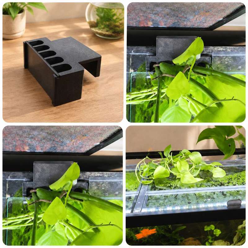 Fish Tank Side Plant Mount Bra - Aquarium Planted Soil ulasan dan harga