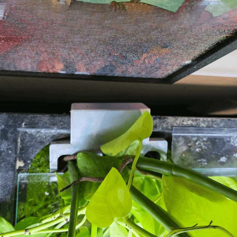 Fish Tank Side Plant Mount Bra - Aquarium Planted Soil ulasan dan harga