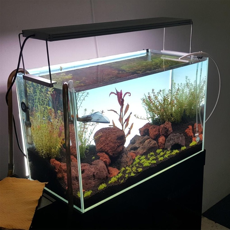 Best-Selling LED Aquarium Lamp - Planted Aquarium Best Fish ulasan dan harga