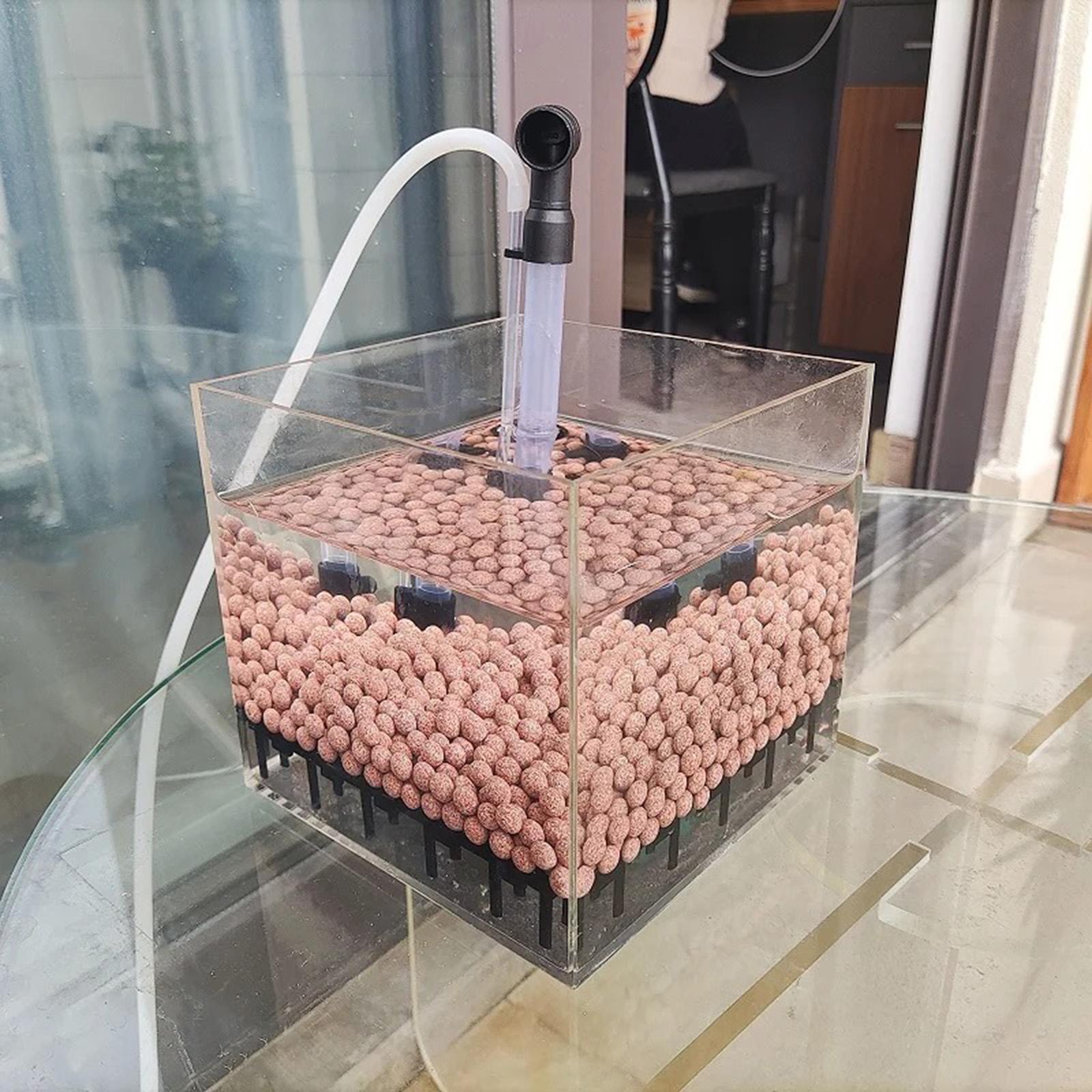 Aquarium Filter Box Square Tra - Planted Aquarium Undergravel Filter ulasan dan harga