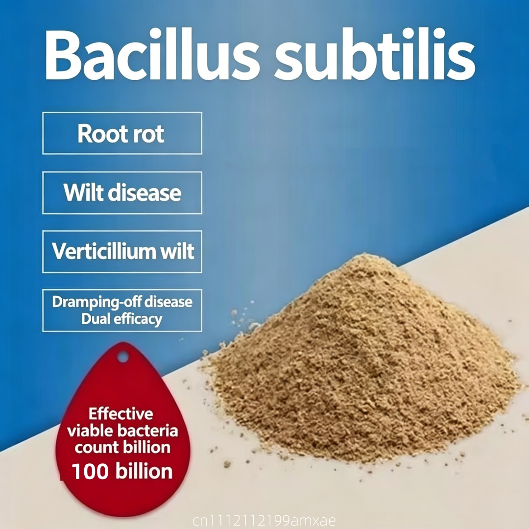High Activity Bacillus Subtili - Aquarium Planted Soil ulasan dan harga