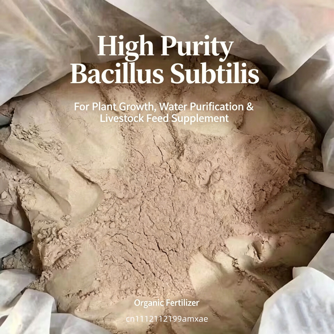High Activity Bacillus Subtili - Aquarium Planted Soil ulasan dan harga