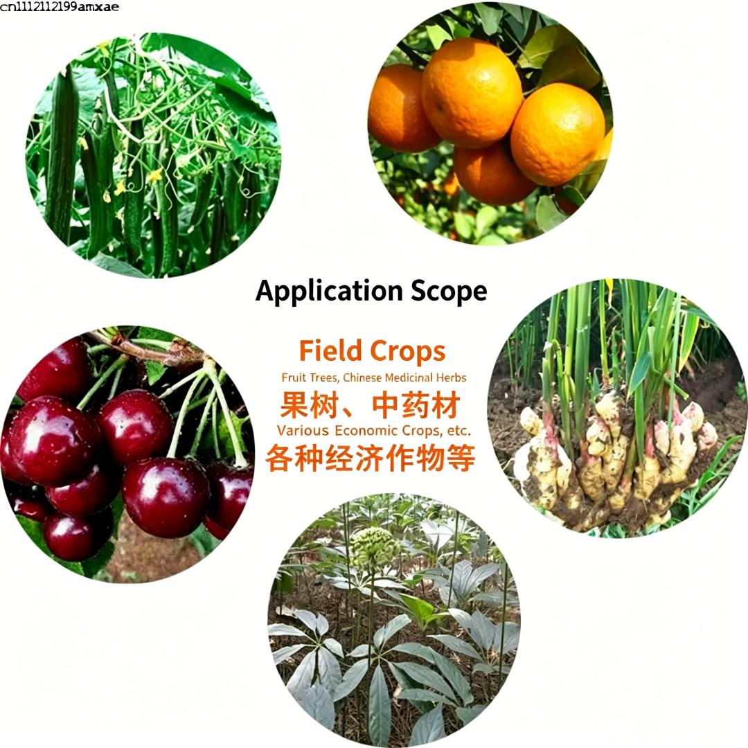 High Activity Bacillus Subtili - Aquarium Planted Soil ulasan dan harga