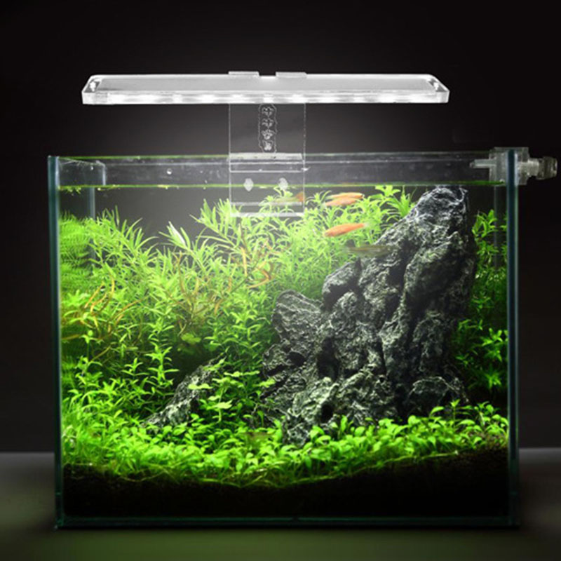 LED Aquarium Lamp Plant Light  - Planted Aquarium Best Fish ulasan dan harga