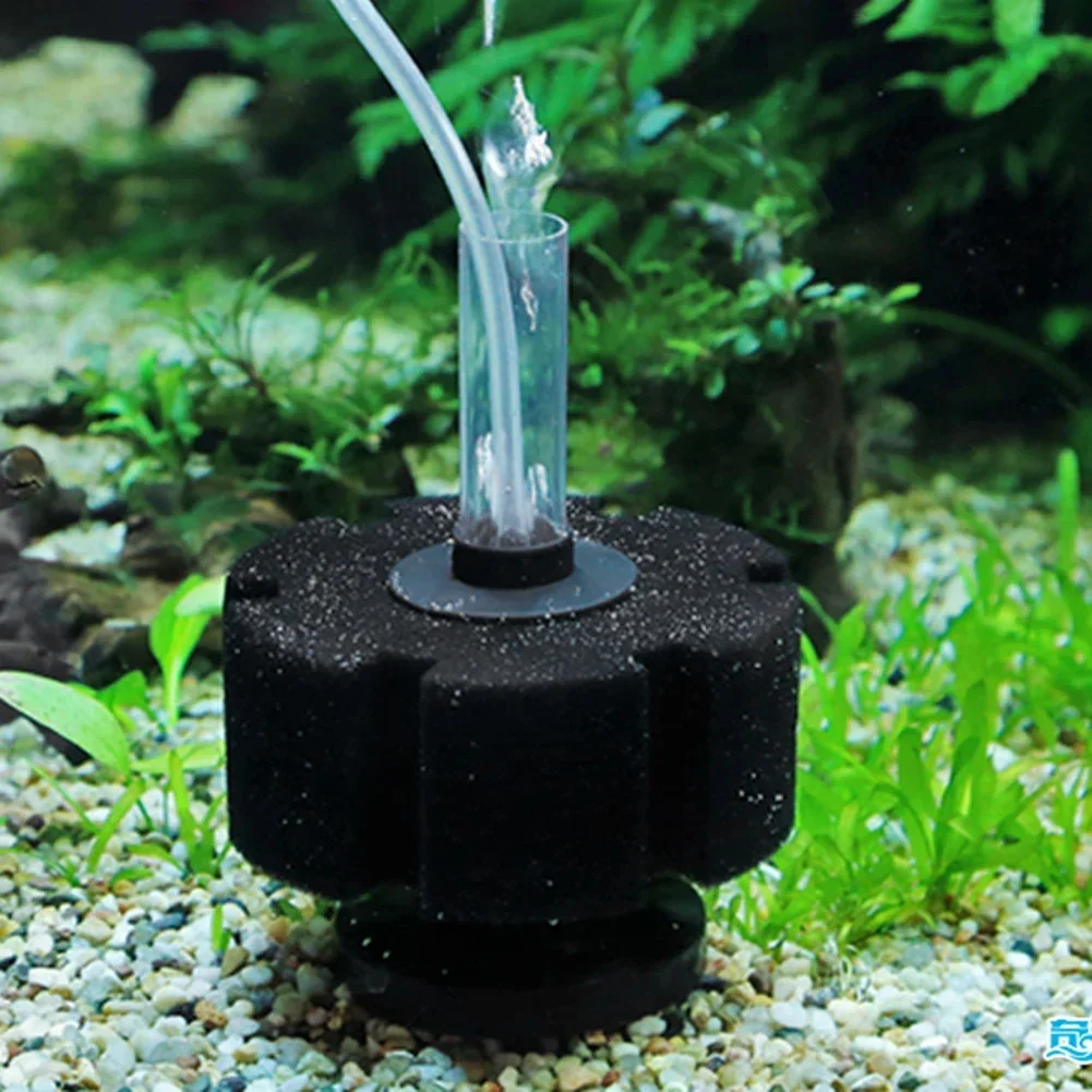 Aquarium Filter Sponge For Fis - Aquarium Planted Filter ulasan dan harga