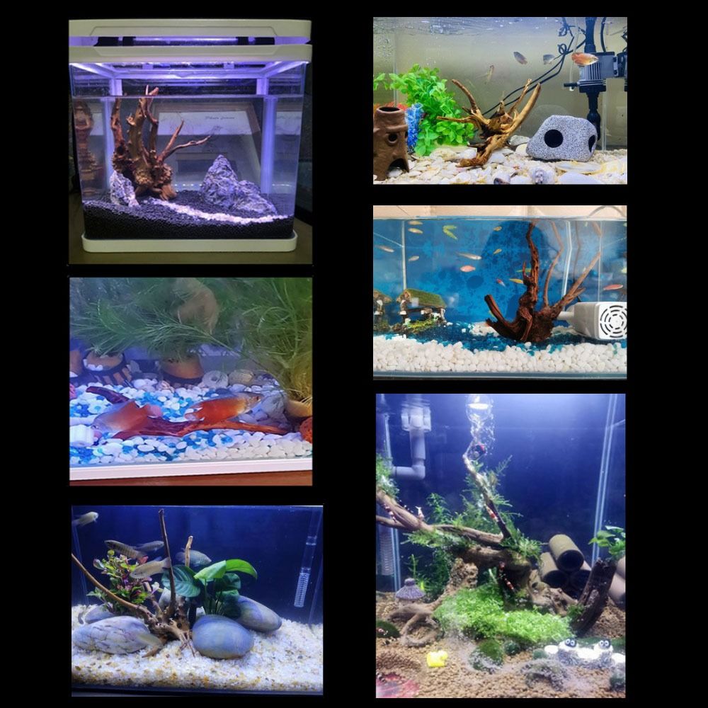 20-25CM Large Aquarium Driftwo - Planted Aquarium Bowl ulasan dan harga