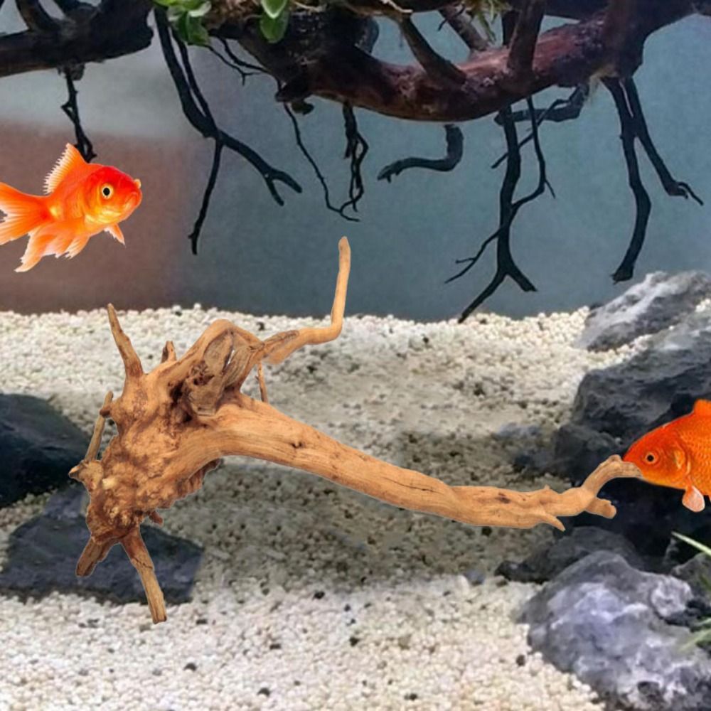 20-25CM Large Aquarium Driftwo - Planted Aquarium Bowl ulasan dan harga