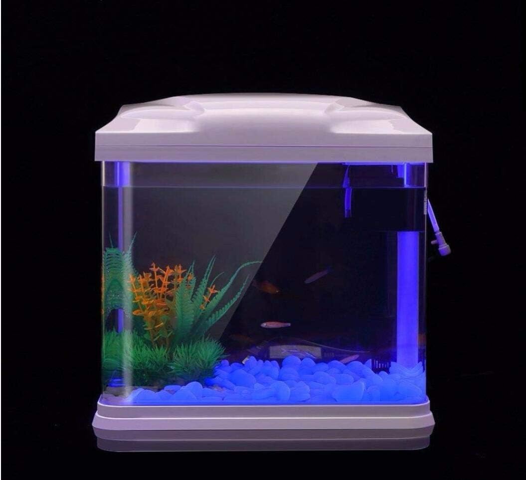 Fish Tank Rocks Glow Blue Pebb - Planted Aquarium Supplies ulasan dan harga