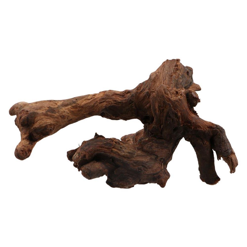 Creative Irregular Shape Coral - Aquarium Planted Soil ulasan dan harga