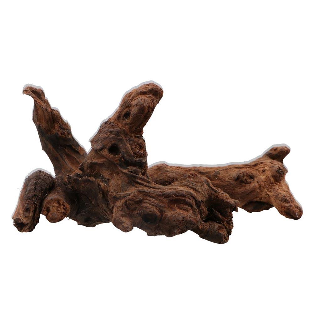 Creative Irregular Shape Coral - Aquarium Planted Soil ulasan dan harga
