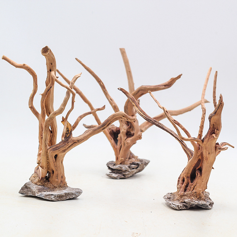 1PC Aquarium Landscaping Wood  - Aquarium Planted Soil ulasan dan harga