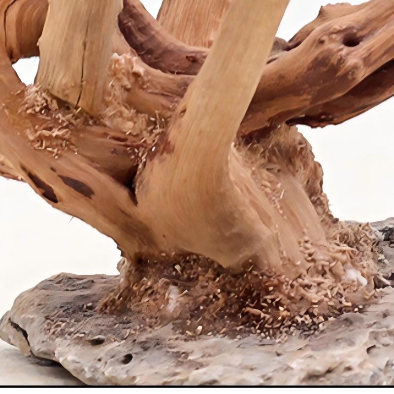 1PC Aquarium Landscaping Wood  - Aquarium Planted Soil ulasan dan harga